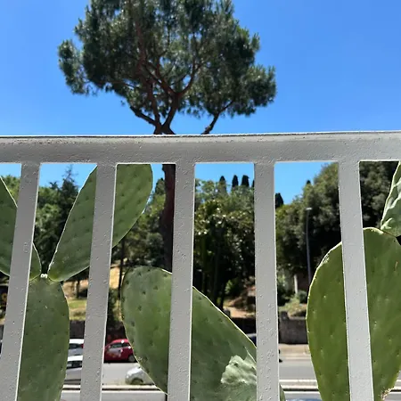 St.peter's Moon 4* 로마