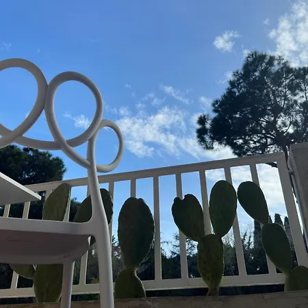 B&B St.peter's Moon 4*