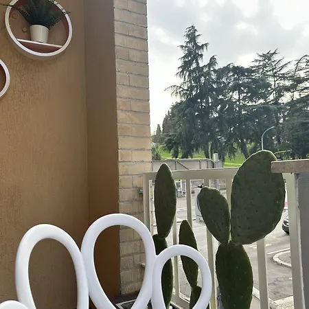 St.peter's Moon B&B 로마