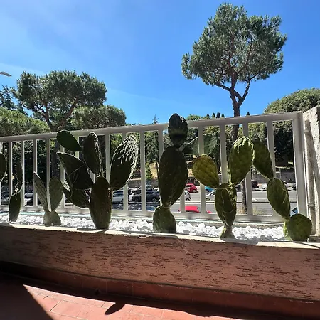 St.peter's Moon Bed & Breakfast